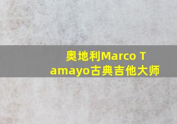 奥地利Marco Tamayo古典吉他大师